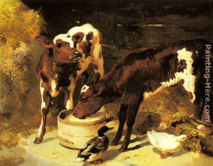 George W. Horlor Calves Feeding